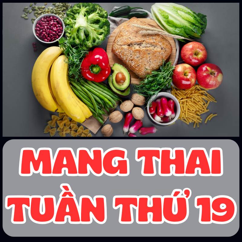 Bổ sung chất sơ khi mang thai tuần thứ 19